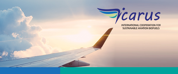 International cooperation for sustainable aviation biofuels