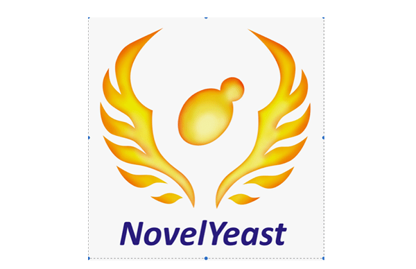 NOVELYEAST